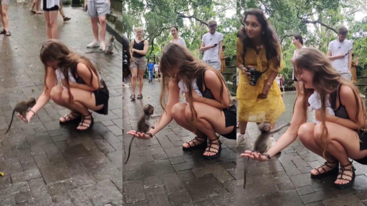 Adorable video of monkey's child and woman won everyone's heart, watch viral video 2761