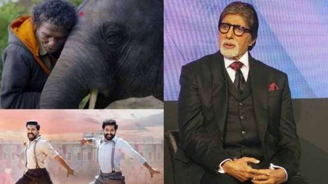 Amitabh Bachchan on the process of winning the Oscars for Natu Natu and The Elephant Whispers 6137