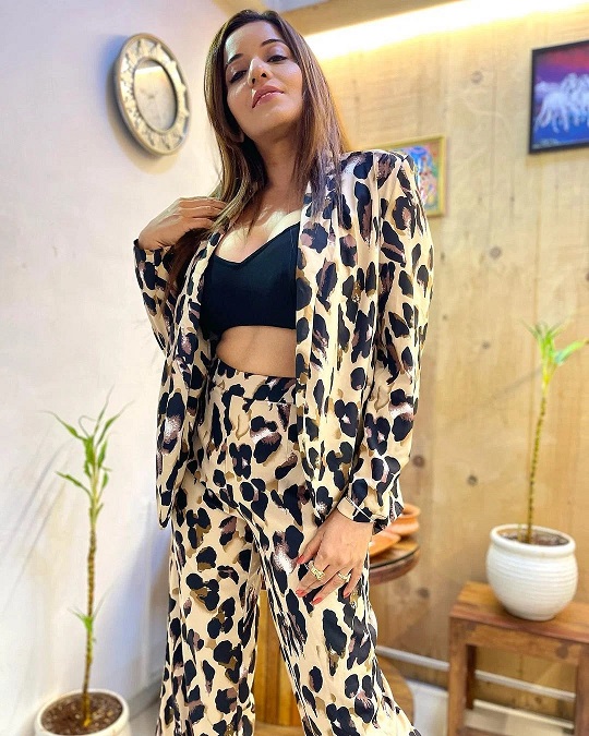 Amrapali Dubey or Monalisa: Who flaunted the animal print pantsuit? 8252