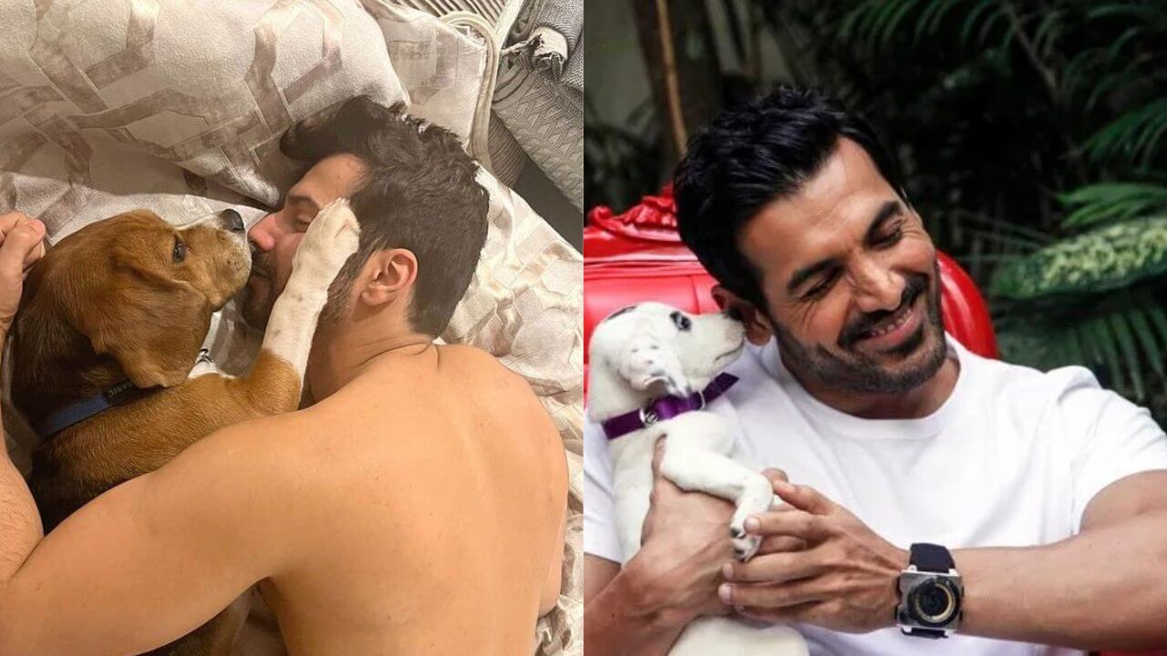 From Varun Dhawan to John Abraham: These Bollywood stars are die-hard animal lovers, see proof 5643