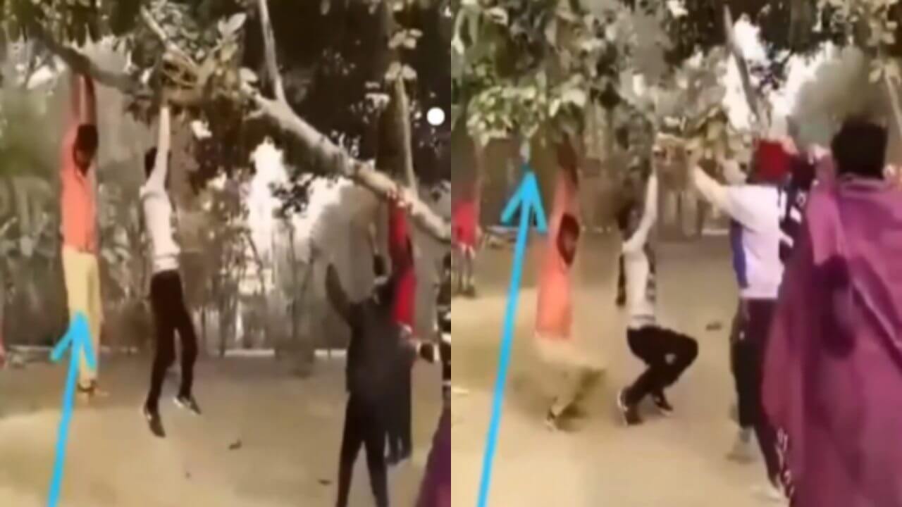 Funny video of boys hanging from tree went viral 4116