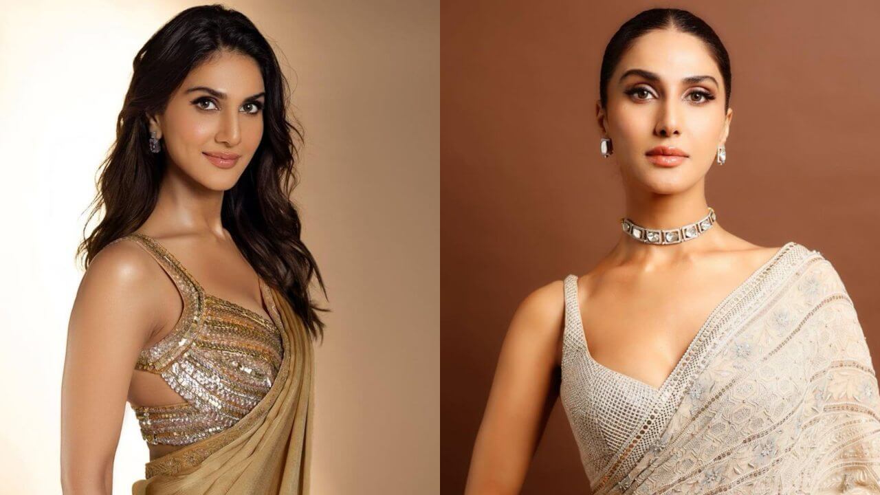 Vaani Kapoor's stylish saree look surprised the fans, see photos 5035