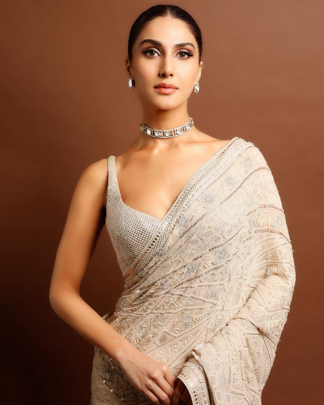 Vaani Kapoor's stylish saree look surprised the fans, see photos 5032