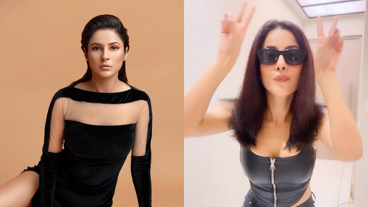 Shehnaaz Gill rocked the black outfit, see proof 9887