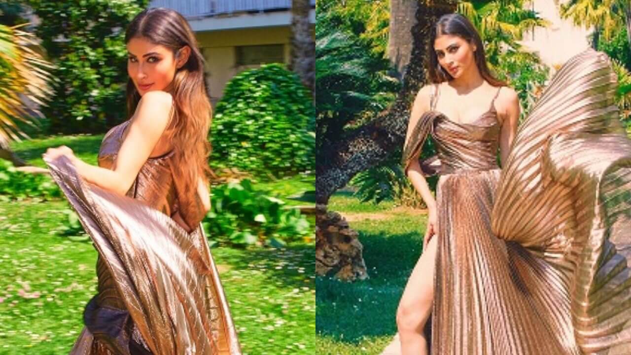 Mouni Roy's metallic gown look left the internet in a tizzy 16870