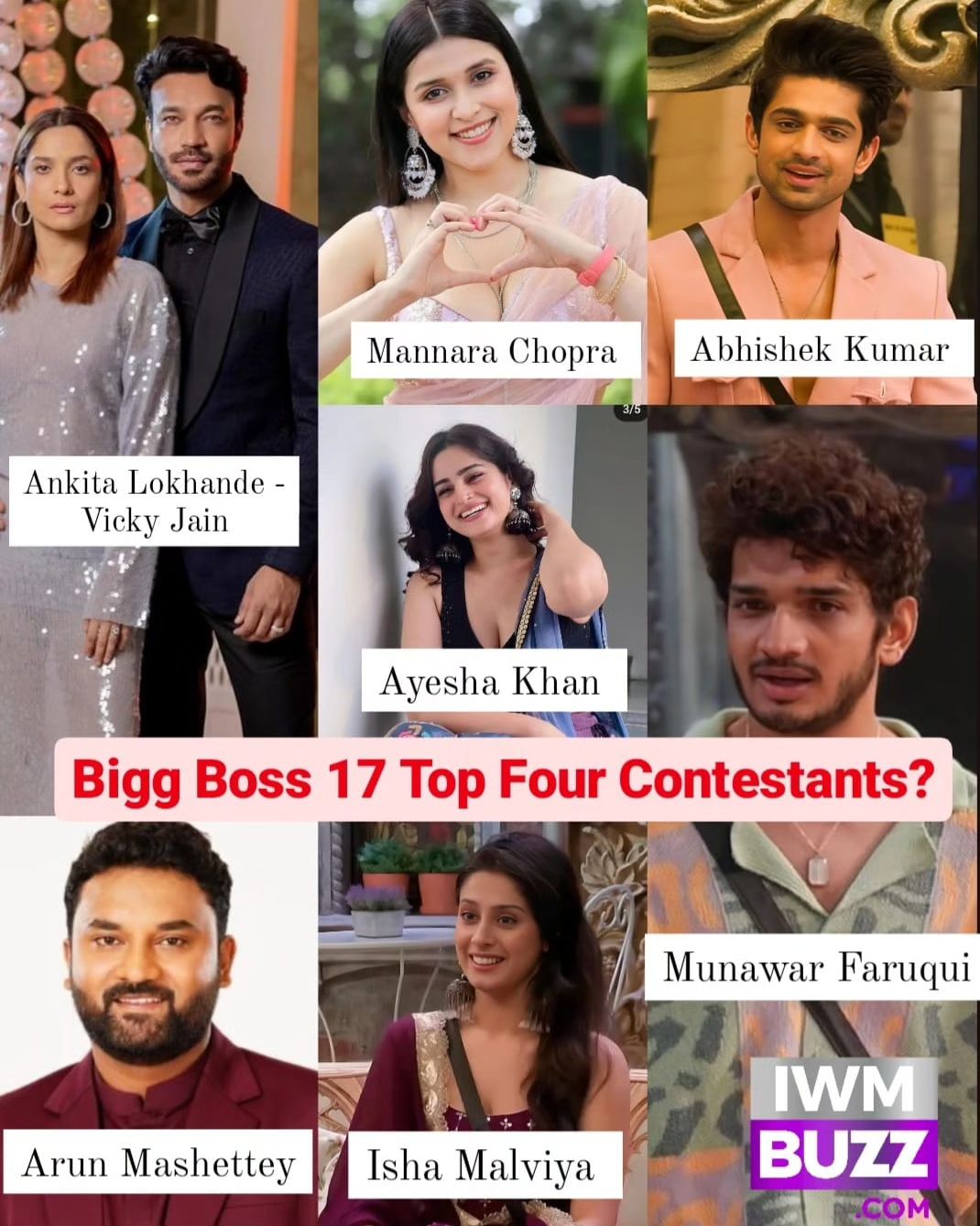 Bigg Boss 17: जनता की पसंद के मुताबिक बिग बॉस के टॉप 4 फाइनलिस्ट 40278